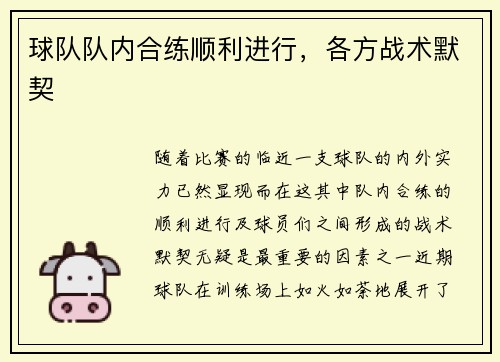 球队队内合练顺利进行，各方战术默契