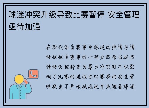球迷冲突升级导致比赛暂停 安全管理亟待加强